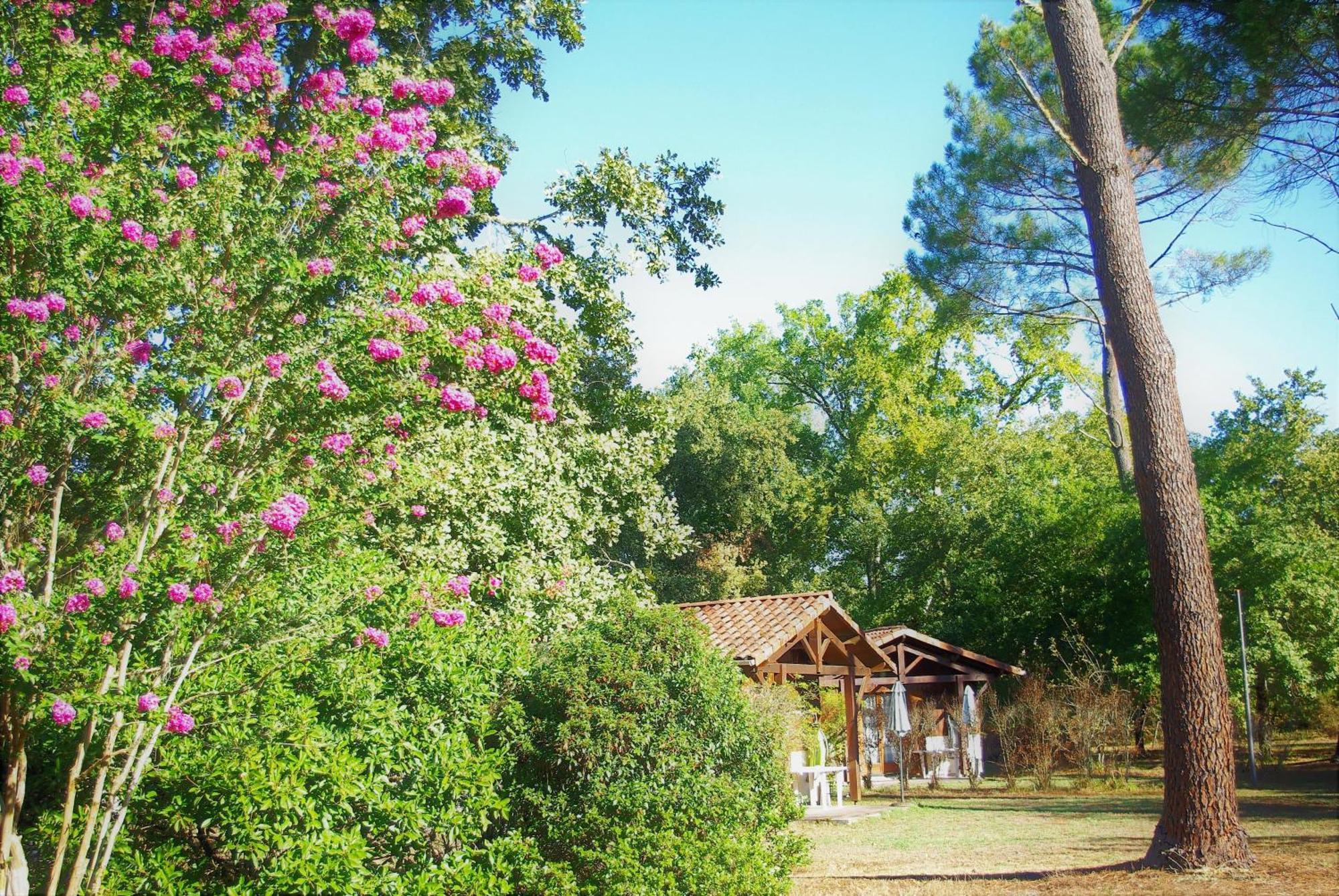 Les Chalets Du Gelat, Nature Et Calme Noaillan Ngoại thất bức ảnh